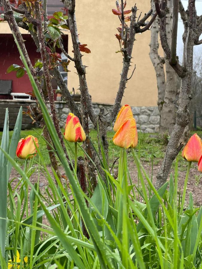 Casita Bonita Villa Castejón de Sos Eksteriør bilde