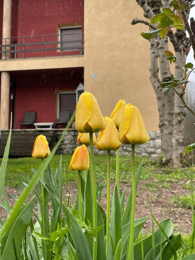 Casita Bonita Villa Castejón de Sos Eksteriør bilde